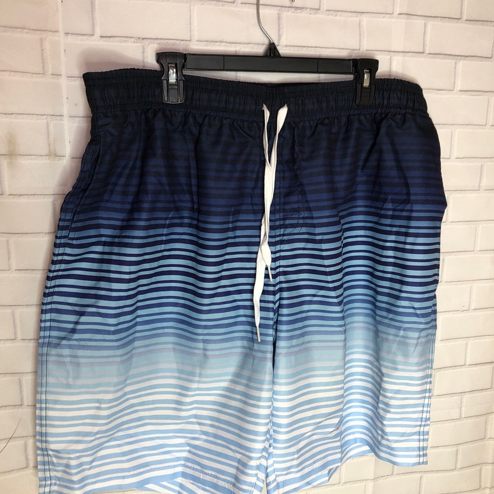 Source Unknown Blue Board Shorts Ombré Design